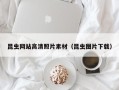 金坛昆虫网站高清照片素材（昆虫图片下载）