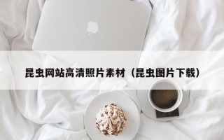 金坛昆虫网站高清照片素材（昆虫图片下载）